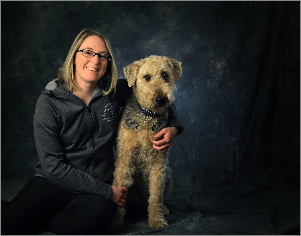 Clinique Vétérinaire Passionimo Grand-Mère | 799 Avenue de Grand-Mère, Grand-Mère, QC G9T 2H8, Canada | Phone: (819) 533-3663