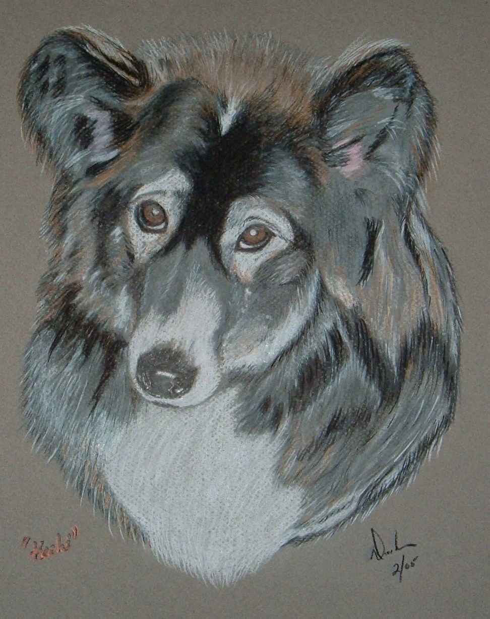 Dave Dukes Art | 6078 Truesdale St, Duncan, BC V9L 0B4, Canada | Phone: (250) 737-1308