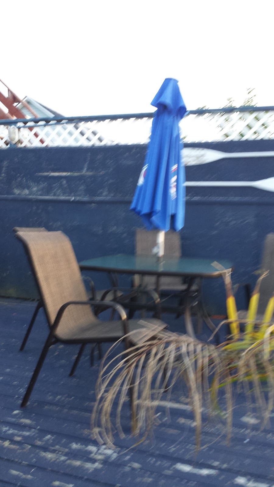 Bar Belle Plage | 890 Rte Marie-Victorin, Deschaillons-sur-Saint-Laurent, QC G0S 1G0, Canada | Phone: (819) 292-1011