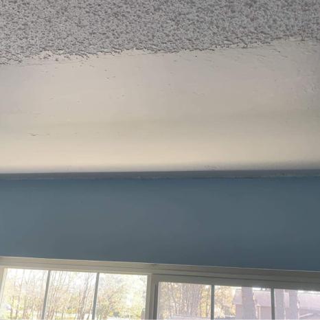 Fresh Look Ceiling | No. 3 Rd, Richmond, BC V7A 4W5, Canada | Phone: (778) 238-3235