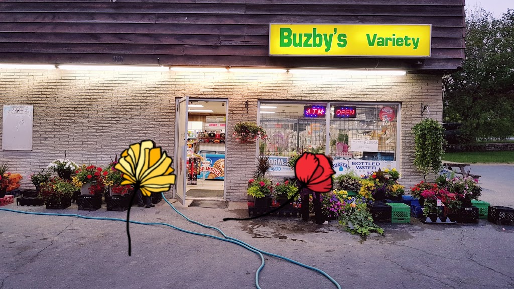 Buzbys Variety | 3877 Orchard Ave, Vineland, ON L0R 2C0, Canada | Phone: (289) 567-0667