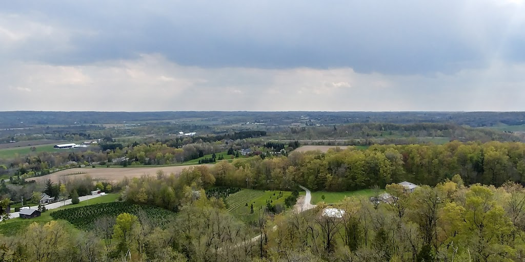 Escarpment Pet Retreat | 6449 Guelph Line, Burlington, ON L7P 0A6, Canada | Phone: (905) 333-0333