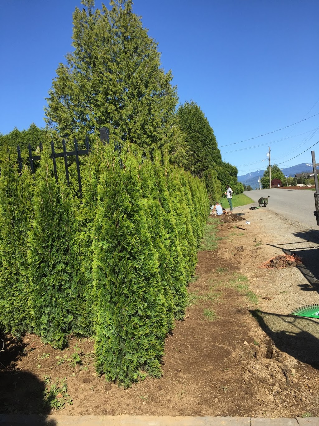 My Fraser green landscaping ltd | 3983 Paradise Pl, Abbotsford, BC V2S 8E3, Canada | Phone: (604) 825-3175