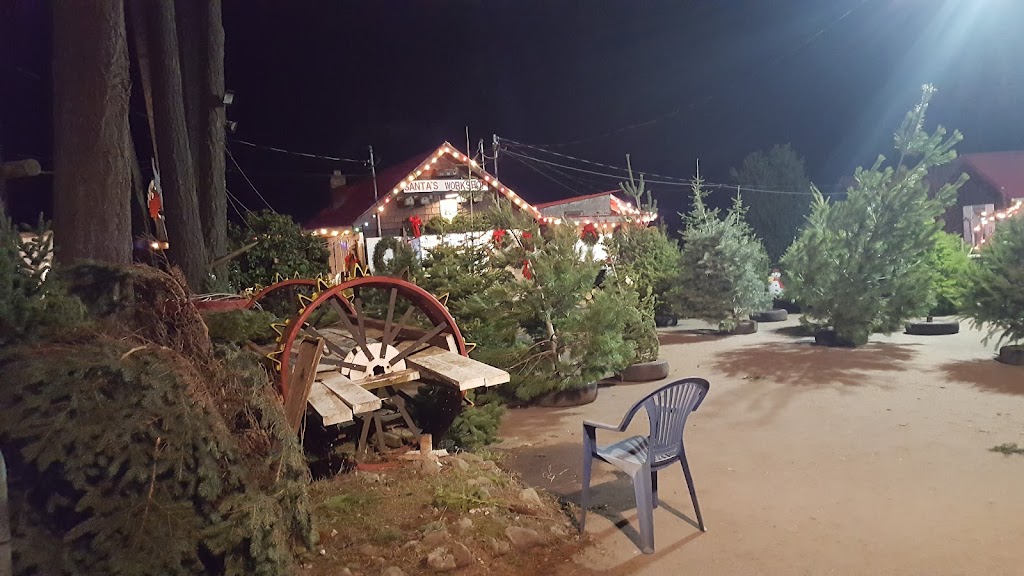Saanichton Christmas Tree Farm | 8231 E Saanich Rd, Saanichton, BC V8M 1T5, Canada | Phone: (250) 652-3345