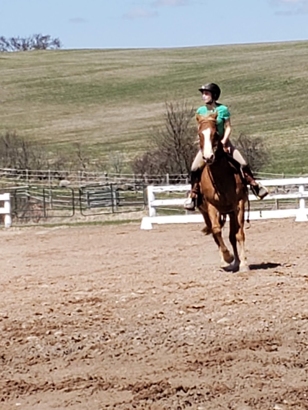 Silver Fox Farm | 873096 5 Line E, Mono, ON L9W 6A4, Canada | Phone: (647) 203-8348