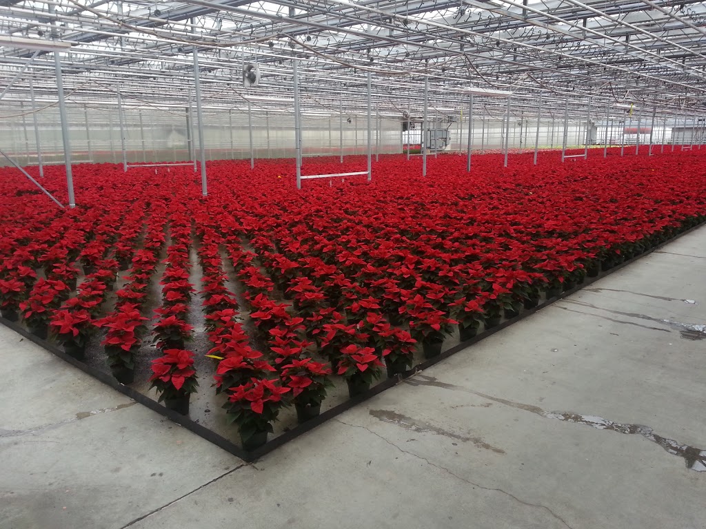 VW Home & Garden Center | 8210 Portal Way, Blaine, WA 98230, USA | Phone: (360) 366-3906