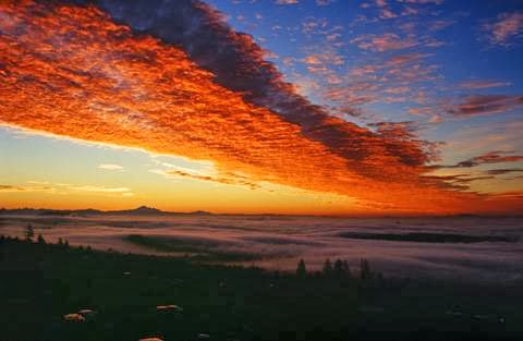 Andreas Bruehl Photography | 2000 Panorama Dr, Port Moody, BC V3H 5J5, Canada | Phone: (778) 355-9161