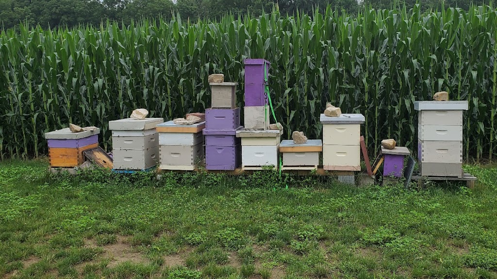 Olson Pure Honey | 559 McNaughton Ave E, Chatham, ON N7L 0E3, Canada | Phone: (226) 798-5400