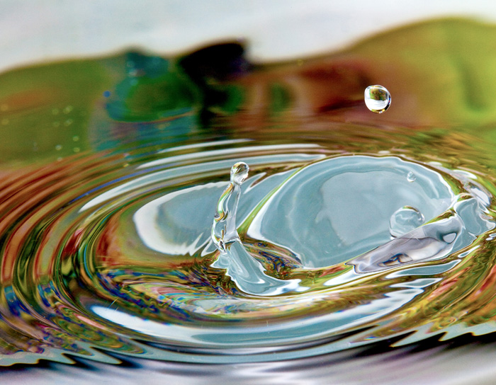 Snaps Drops Inc. Water Drop Photography | 110 Smiths Point Rd, East Quoddy, NS B0J 2R0, Canada | Phone: (902) 654-2736