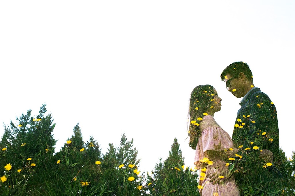Lisa Mark Photography | 155 Main St S, Rockwood, ON N0B 2K0, Canada | Phone: (416) 662-7495