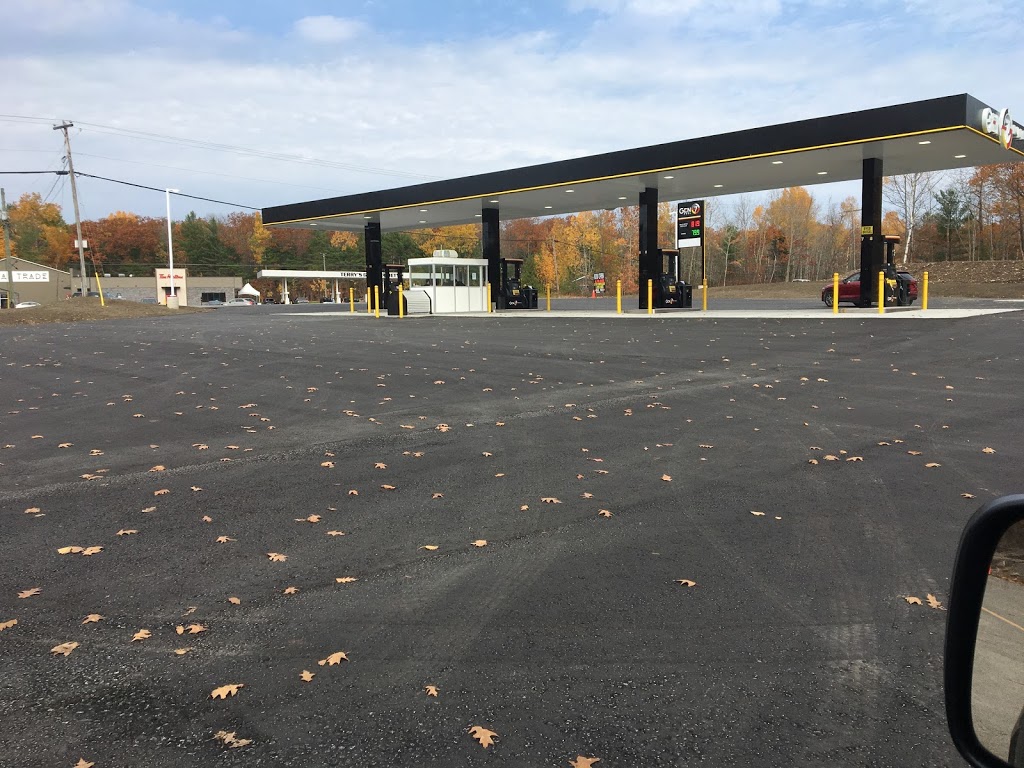 Gen7 Fuel Curve Lake | 1419 Mississauga St, Buckhorn, ON K0L 1J0, Canada | Phone: (705) 657-7670