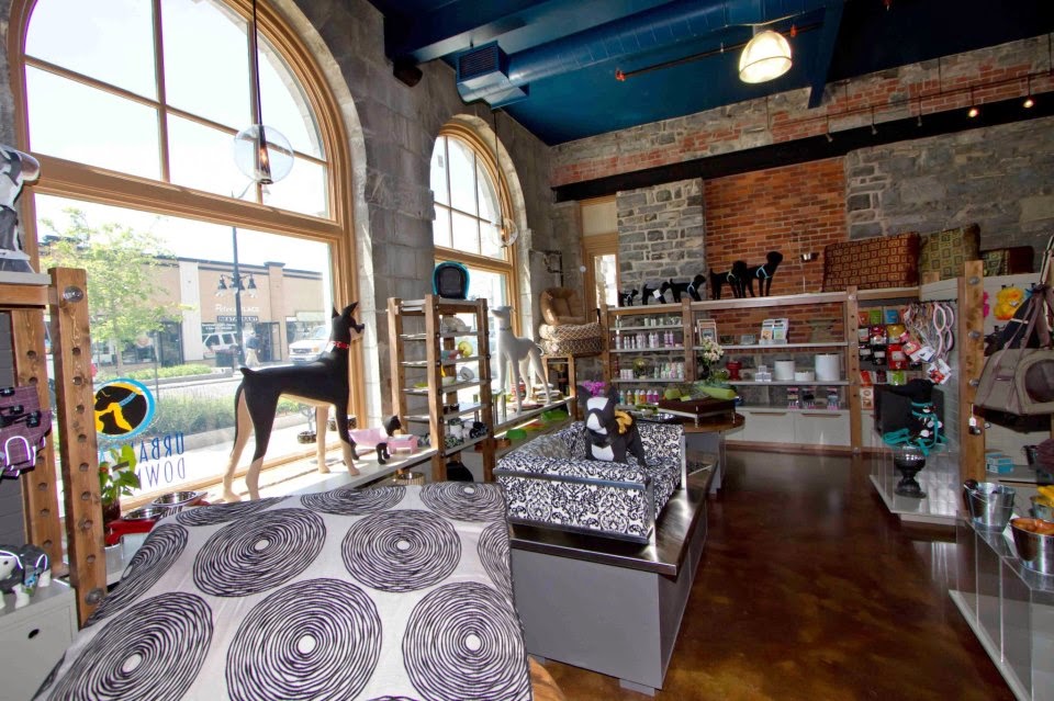 Urban Paws | 1183 Midland Ave, Kingston, ON K7P 2X8, Canada | Phone: (613) 384-0987