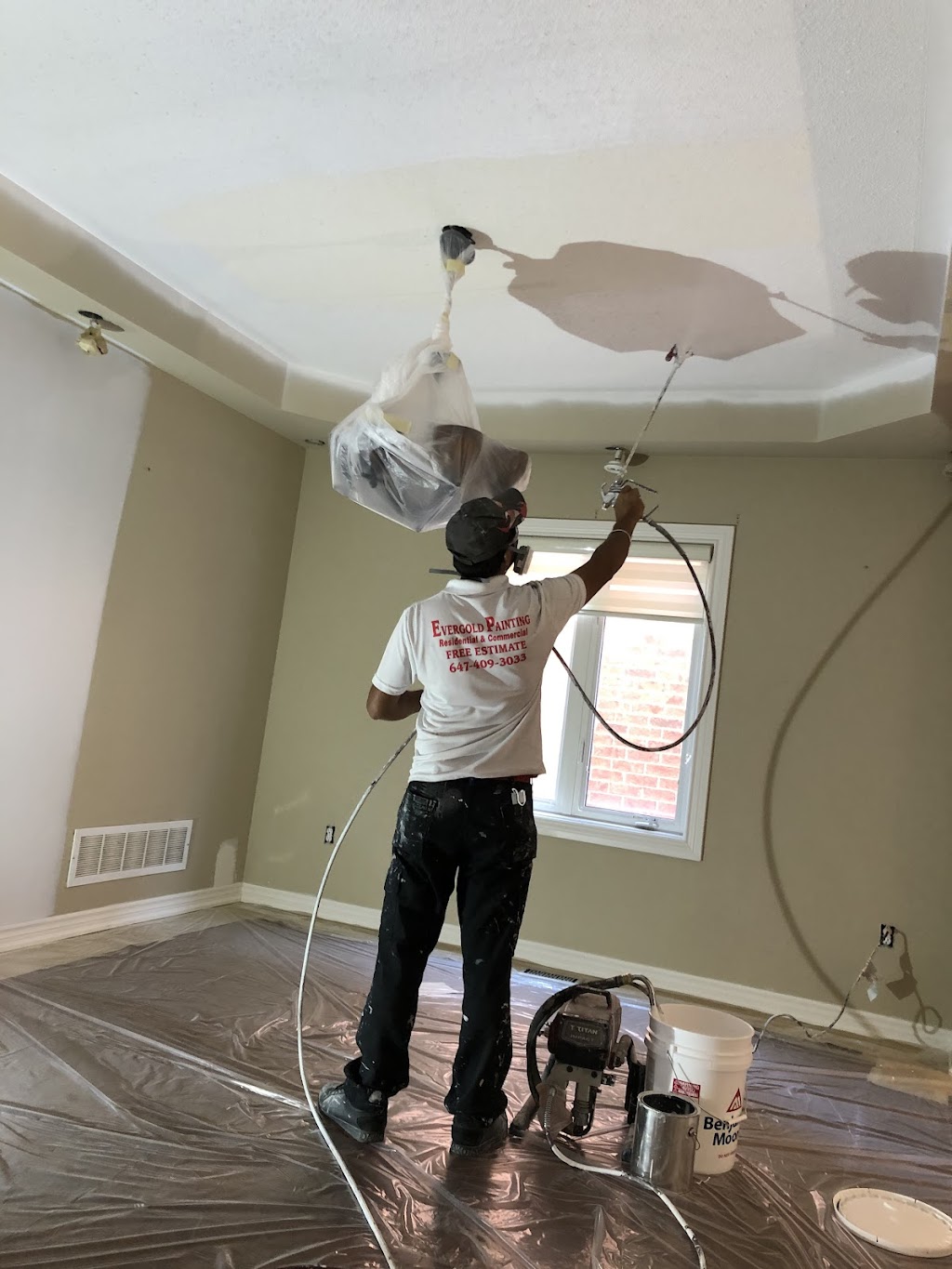 Evergold painting | 73 Glebe Crescent, Brampton, ON L6S 1E9, Canada | Phone: (647) 409-3033