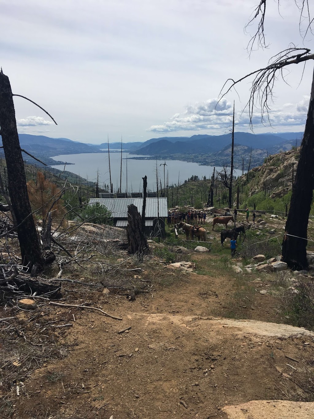 Okanagan Mountain Provincial Park | Lakeshore Rd, Okanagan-Similkameen E, BC V0H, Canada | Phone: (250) 548-0076