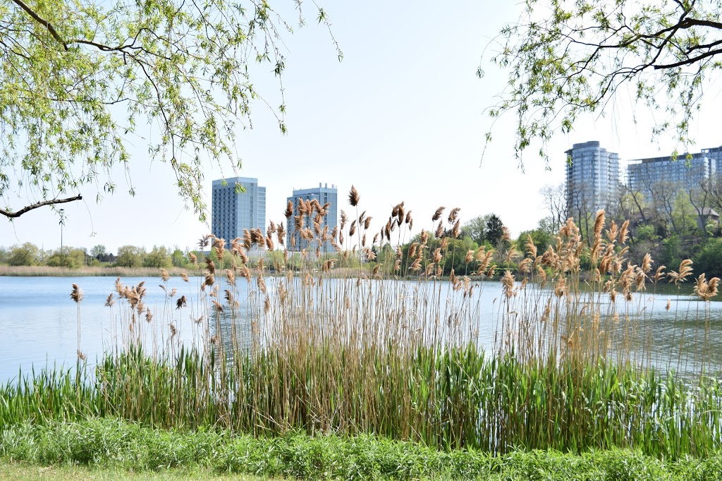Westview Greenbelt | 20A Nordale Crescent, North York, ON M6M 3A1, Canada