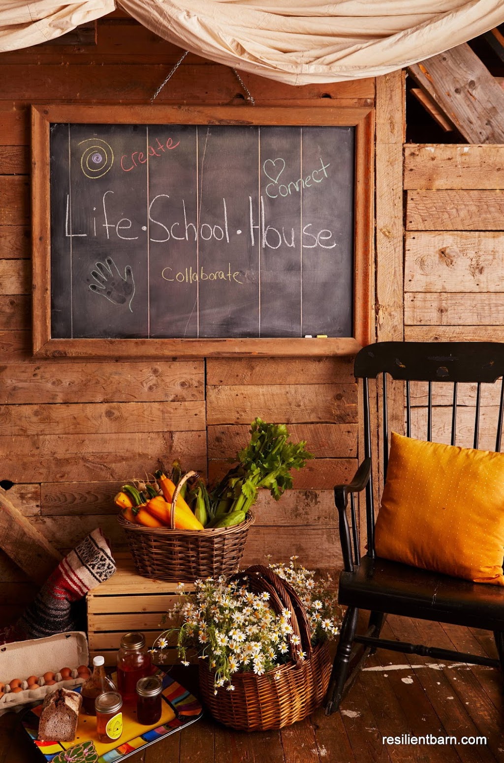 Resilient Barn & dig it! Naturals | 731 Ardoise School Rd, Mount Uniacke, NS B0N 1Z0, Canada | Phone: (902) 999-1907