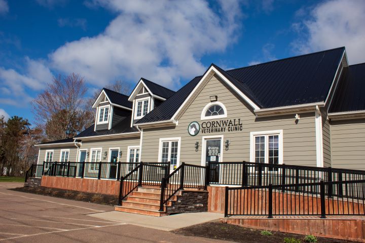 Cornwall Veterinary Clinic | 584 Main St, Cornwall, PE C0A 1H0, Canada | Phone: (902) 368-8374