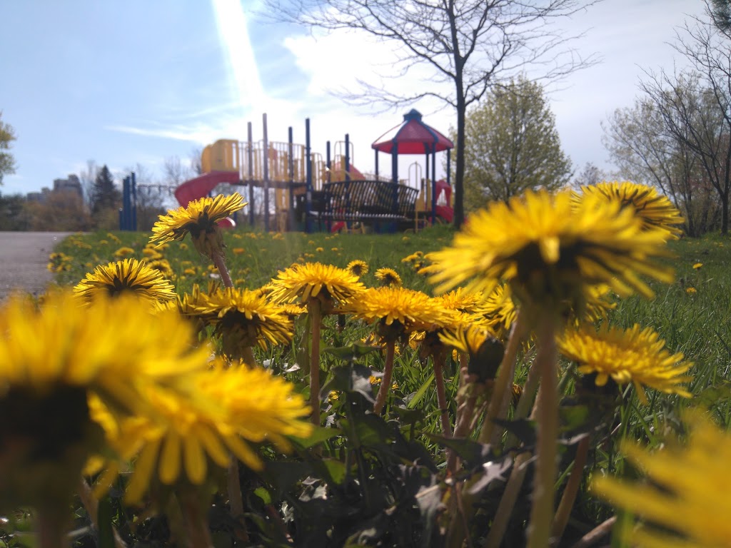 Burr Park | Richmond Hill, ON L4C, Canada