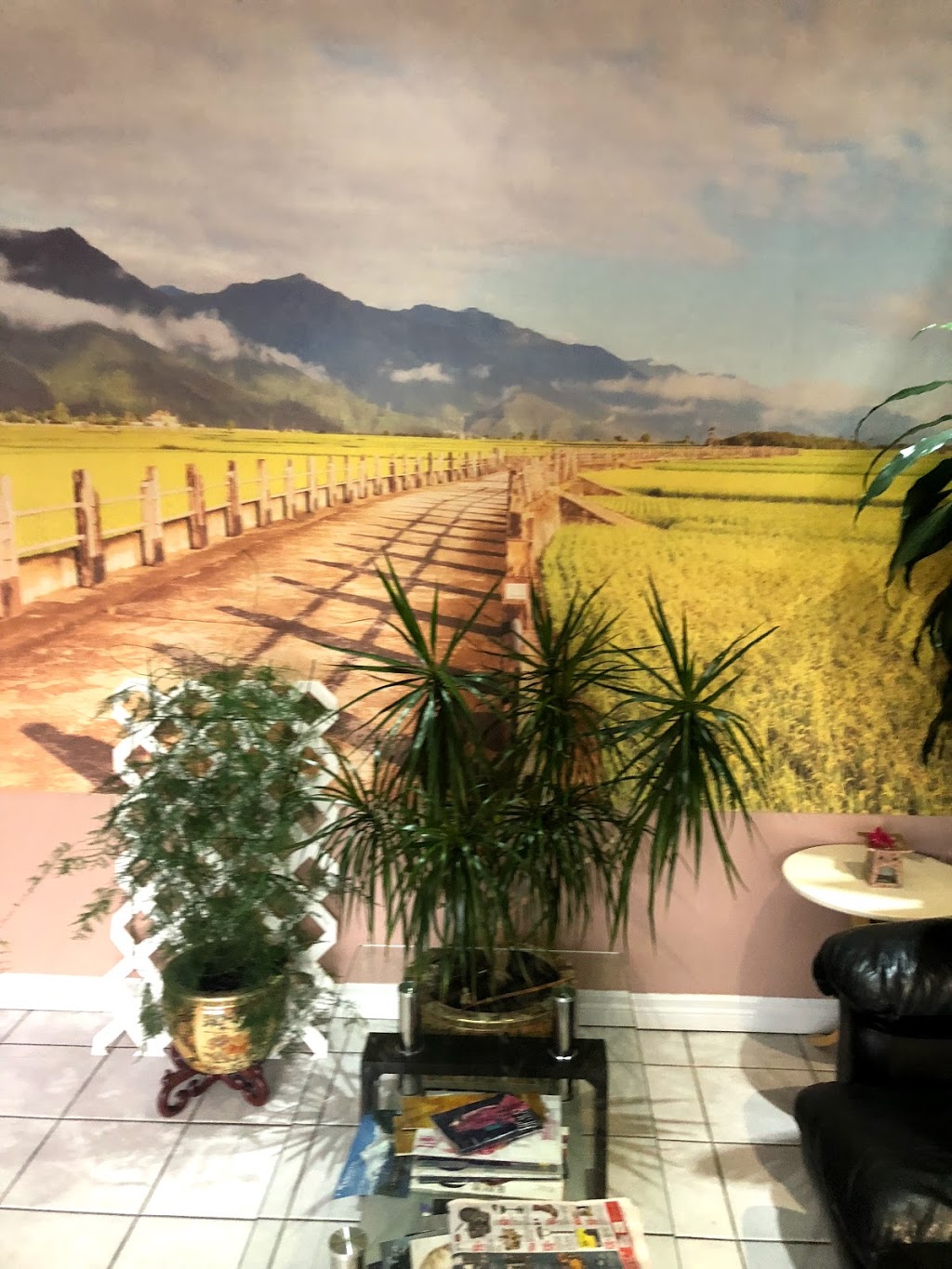 Natureology | 661 The Queensway, Etobicoke, ON M8Y 1K8, Canada | Phone: (647) 351-8839