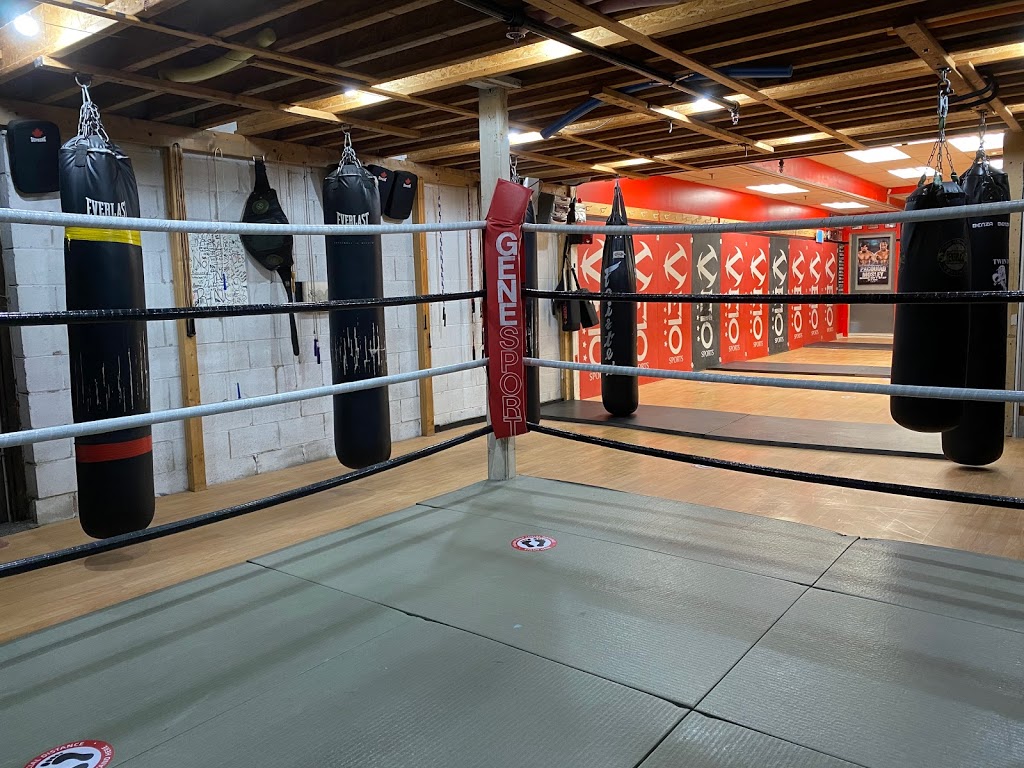 Twin Dragon Kickboxing, Kung-Fu Fitness Club (Woodbidge) | 90 Winges Rd, Woodbridge, ON L4L 6A9, Canada | Phone: (905) 850-3528