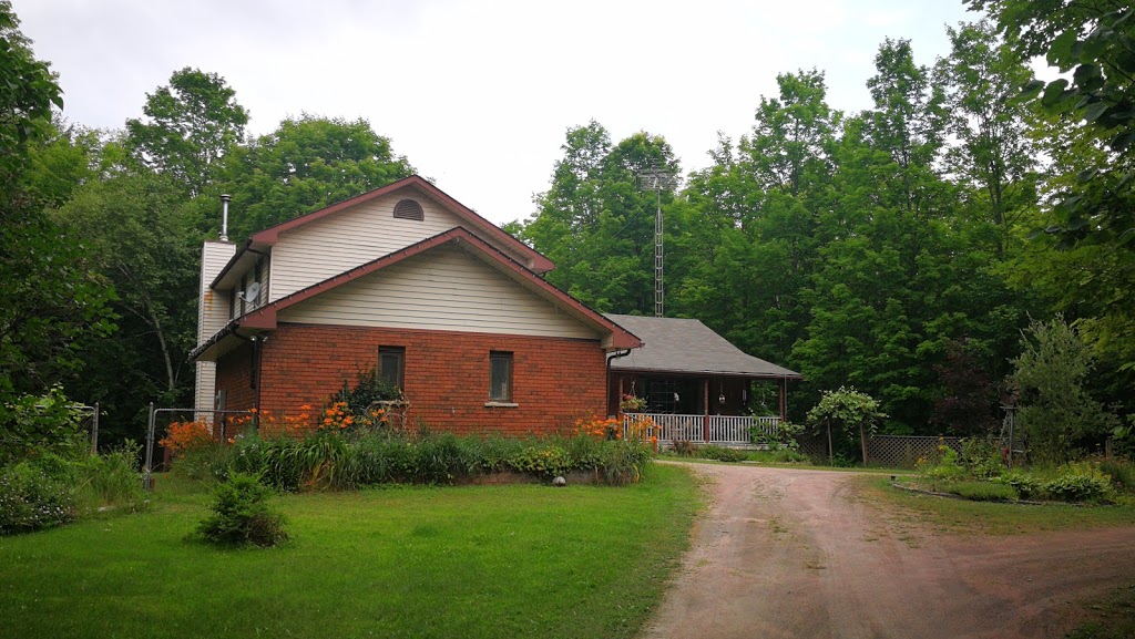 GingerAnne McQueston, Real Estate Broker at BALL Real Estate Inc. Brokerage | 4244 Hwy 7, Norwood, ON K0L 2V0, Canada | Phone: (705) 931-4056