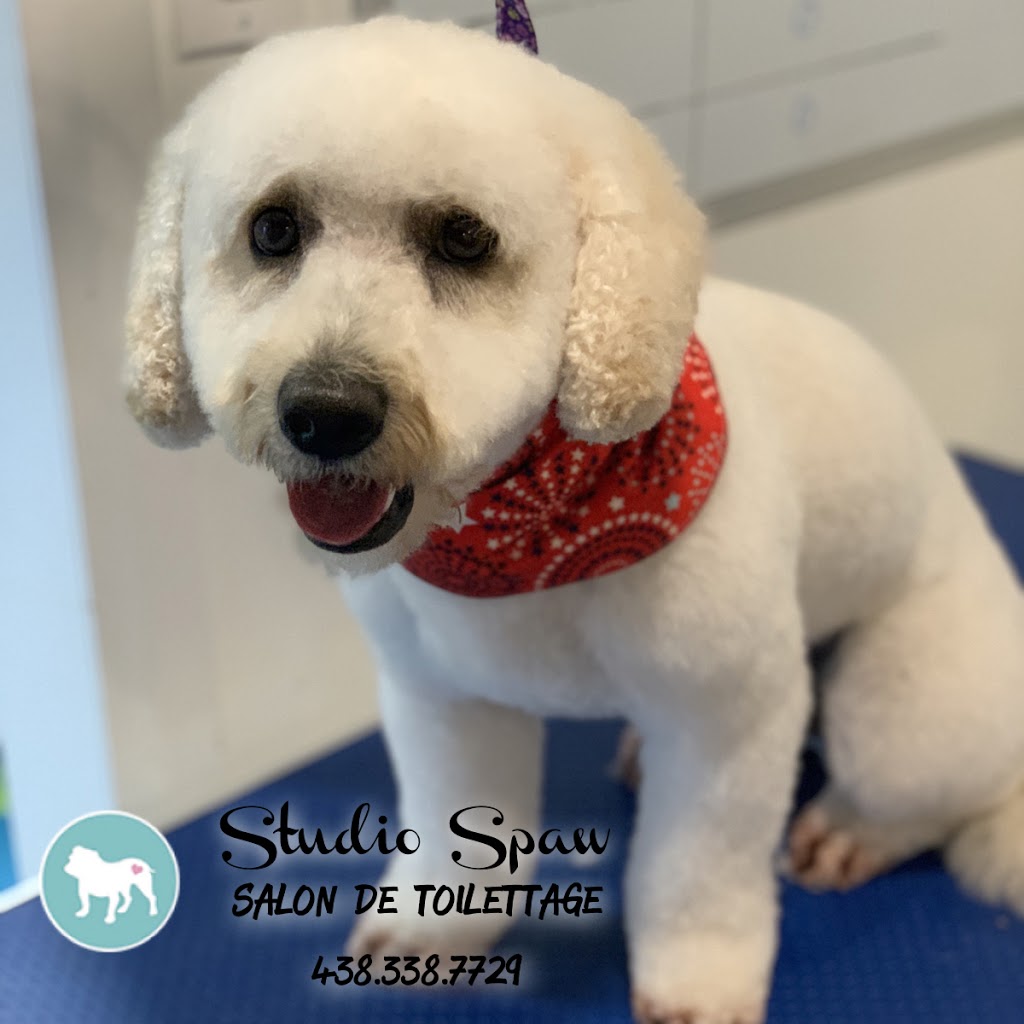 Studio Spaw | 169 Chemin Saint-François-Xavier, Delson, QC J5B 1X7, Canada | Phone: (438) 338-7729
