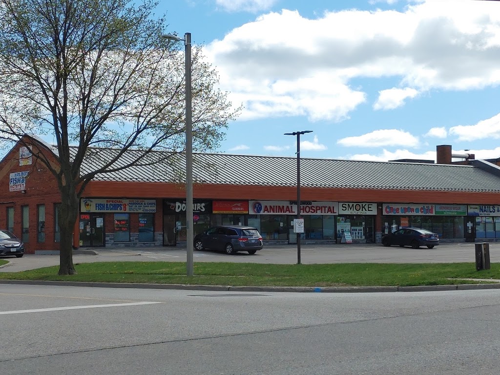 Springwood Animal Hospital (& HouseCall Services) | Springwood Animal Hospital, 1645 Dundas St E, Whitby, ON L1N 2K9, Canada | Phone: (905) 240-8100