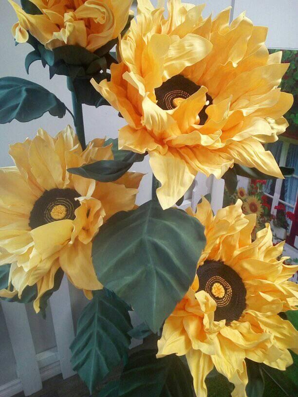 Summer BloomS | 118 Mitton St S, Sarnia, ON N7T 3C4, Canada | Phone: (519) 331-0937