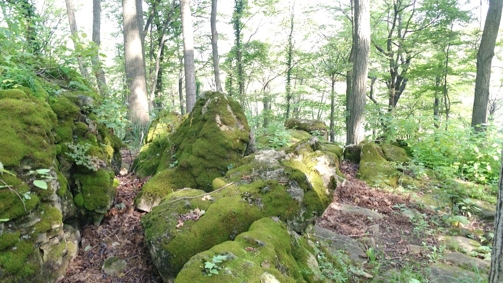 Cave Springs Conservation Area | 3949 Cave Spring Rd, Campden, ON L0R 1G0, Canada