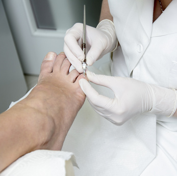 Ô 5 sens santé | 1420 Rue Legendre E # 02, Montréal, QC H2M 1H5, Canada | Phone: (514) 385-1010