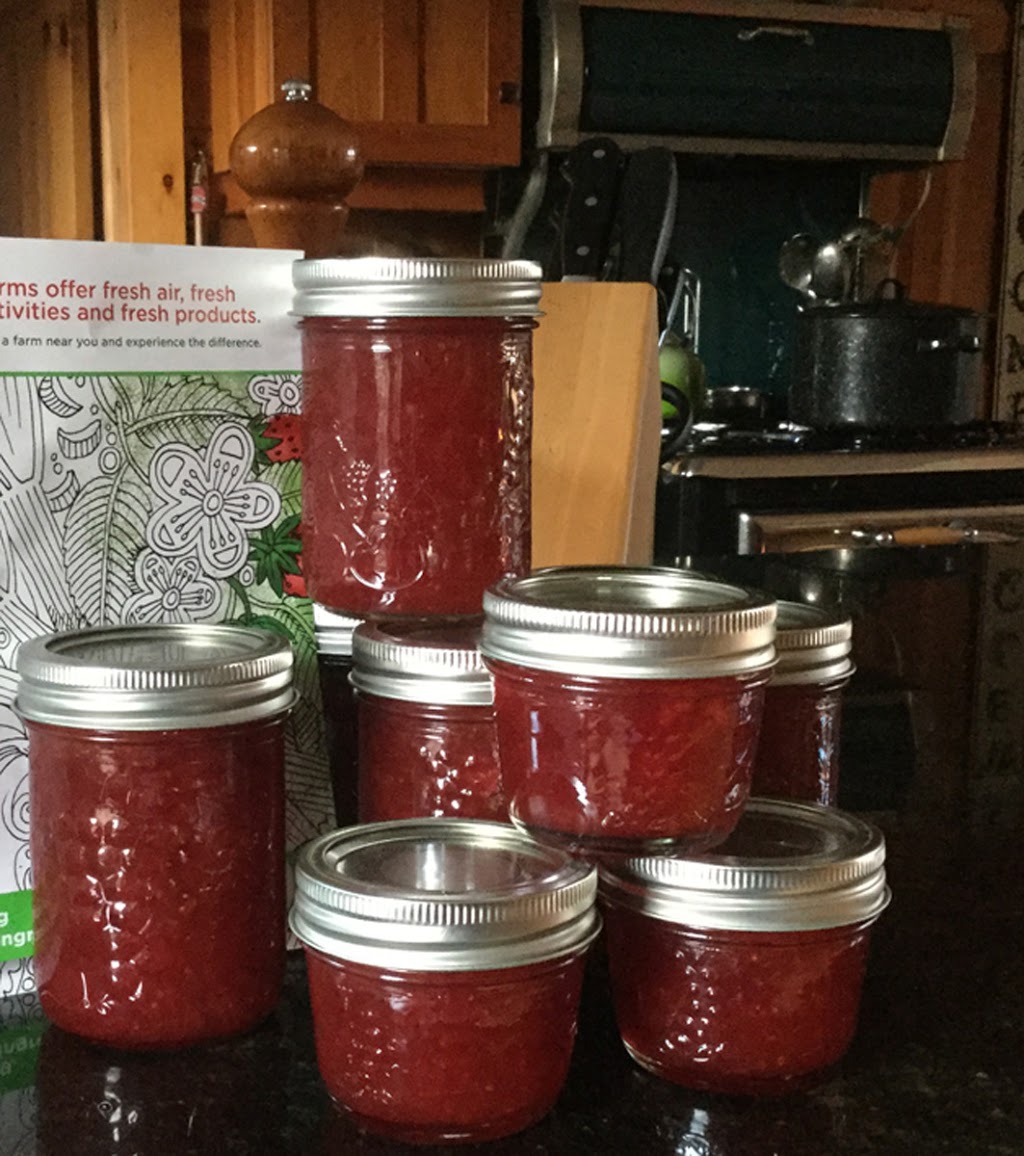 The Elora Farmers Market | Bissell Park, 127 E Mill St, Elora, ON N0B 1S0, Canada | Phone: (226) 821-5536