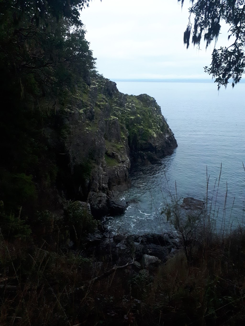 Creyke Point | East, Roche Cove Regional Park - Parking Lot, Galloping Goose Trail, Sooke, BC V9Z 0Z3, Canada