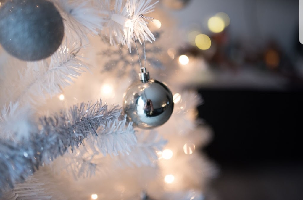 Julie Nicole Photography | 242 Chandos Dr, Kitchener, ON N2A 3Z6, Canada | Phone: (519) 954-6655
