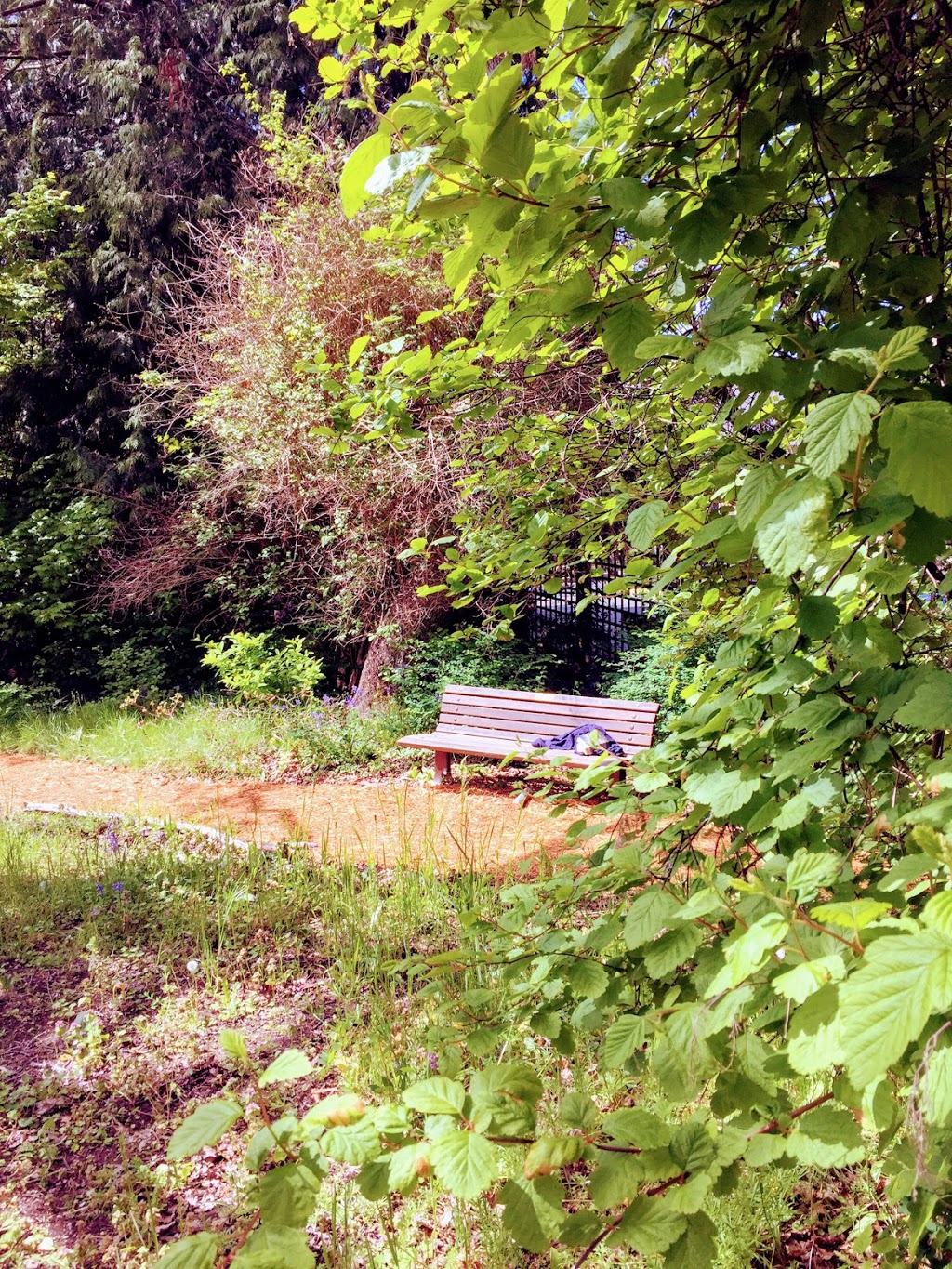 Oak Bay Native Plant Garden | 1178 Beach Dr, Victoria, BC V8S 3A8, Canada | Phone: (250) 592-7275
