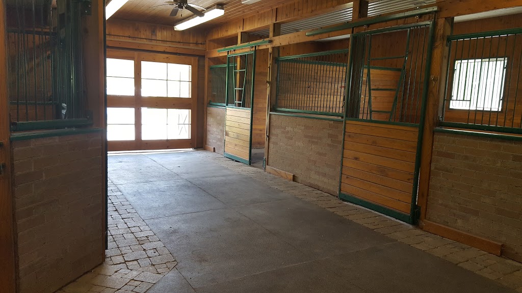 MJ Equestrian | 9998 Garrard Rd, Oshawa, ON L1H 7K4, Canada | Phone: (647) 203-9568