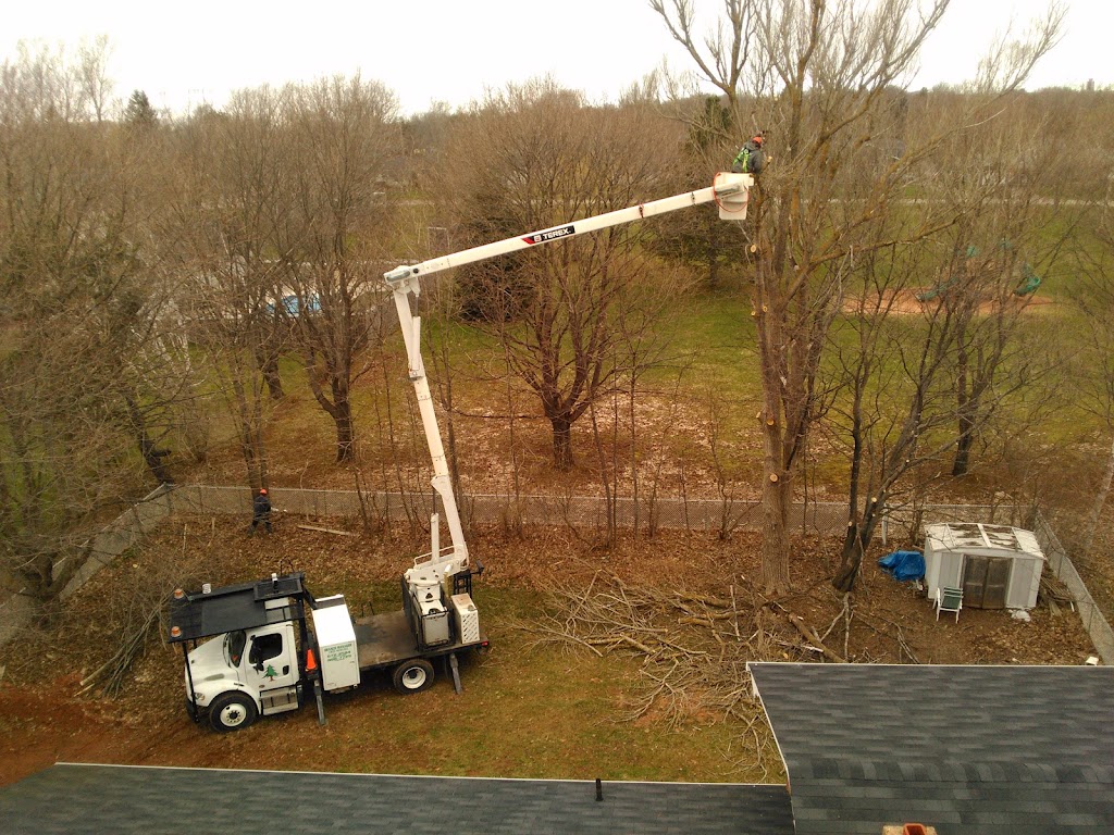 Jerrys Tree Service | 137 Lady Slipper Dr N, Miscouche, PE C0B 1T0, Canada | Phone: (902) 888-7729