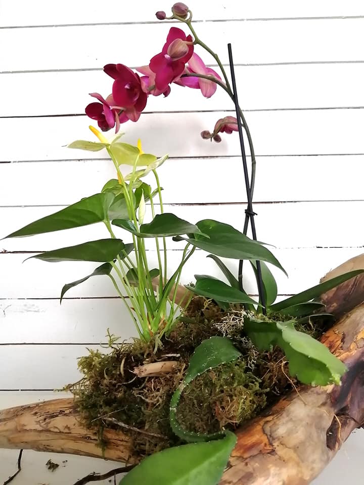 Botanical Design Studio | 52 Card Beach Rd, Centre Burlington, NS B0N 2A0, Canada | Phone: (902) 798-7012