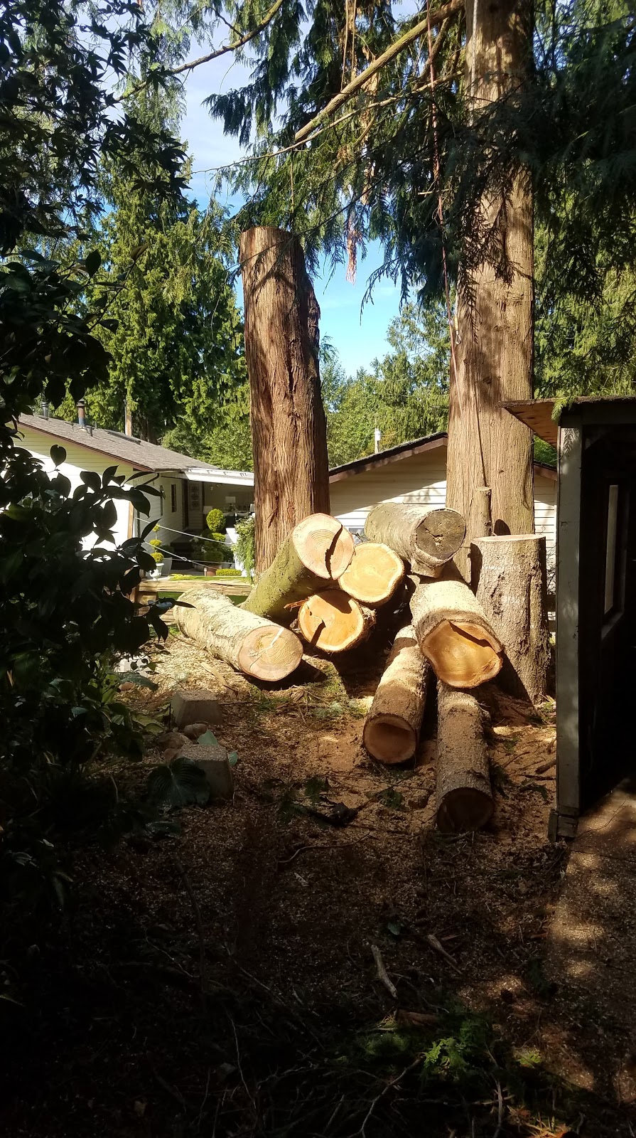 2 Mikes Tree Service | 7217 Lantzville Rd, Lantzville, BC V0R 2H0, Canada | Phone: (250) 714-9214