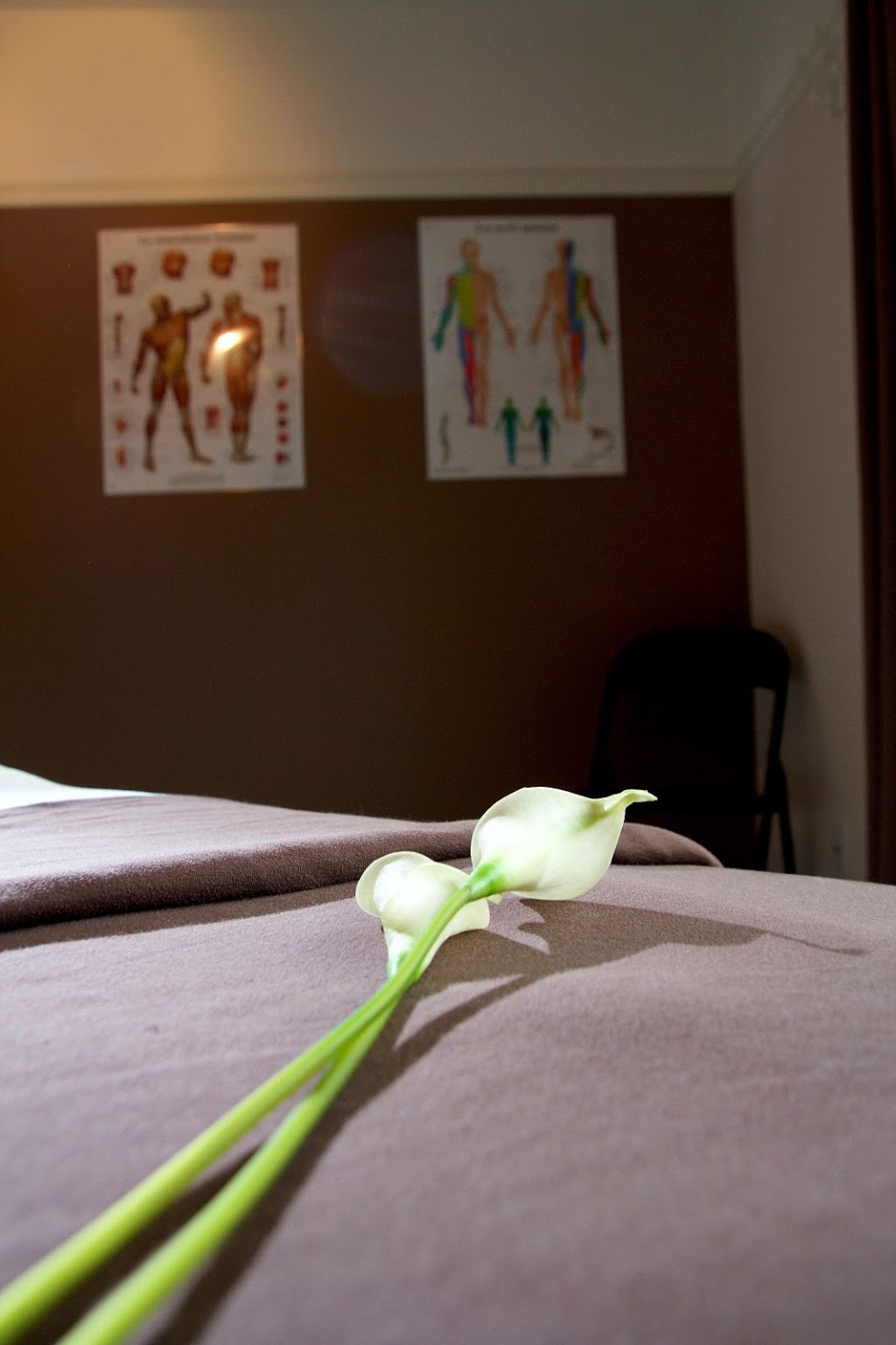 Centre de massothérapie et Pilates OKM Séverine Tasiaux | 95 Rue des Dunes, Boischatel, QC G0A 1H0, Canada | Phone: (418) 573-8826
