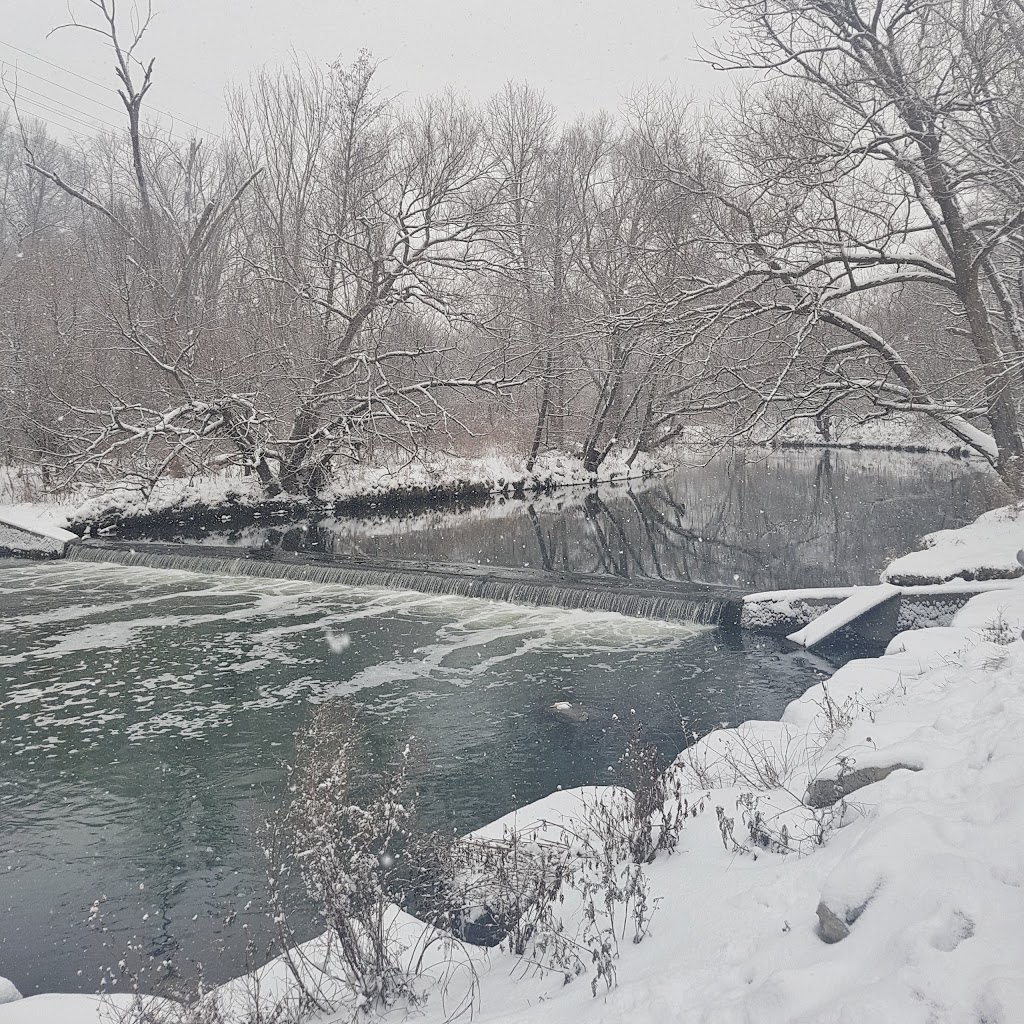 Don River Fish Ladder | Old East York, Toronto, ON M4K, Canada