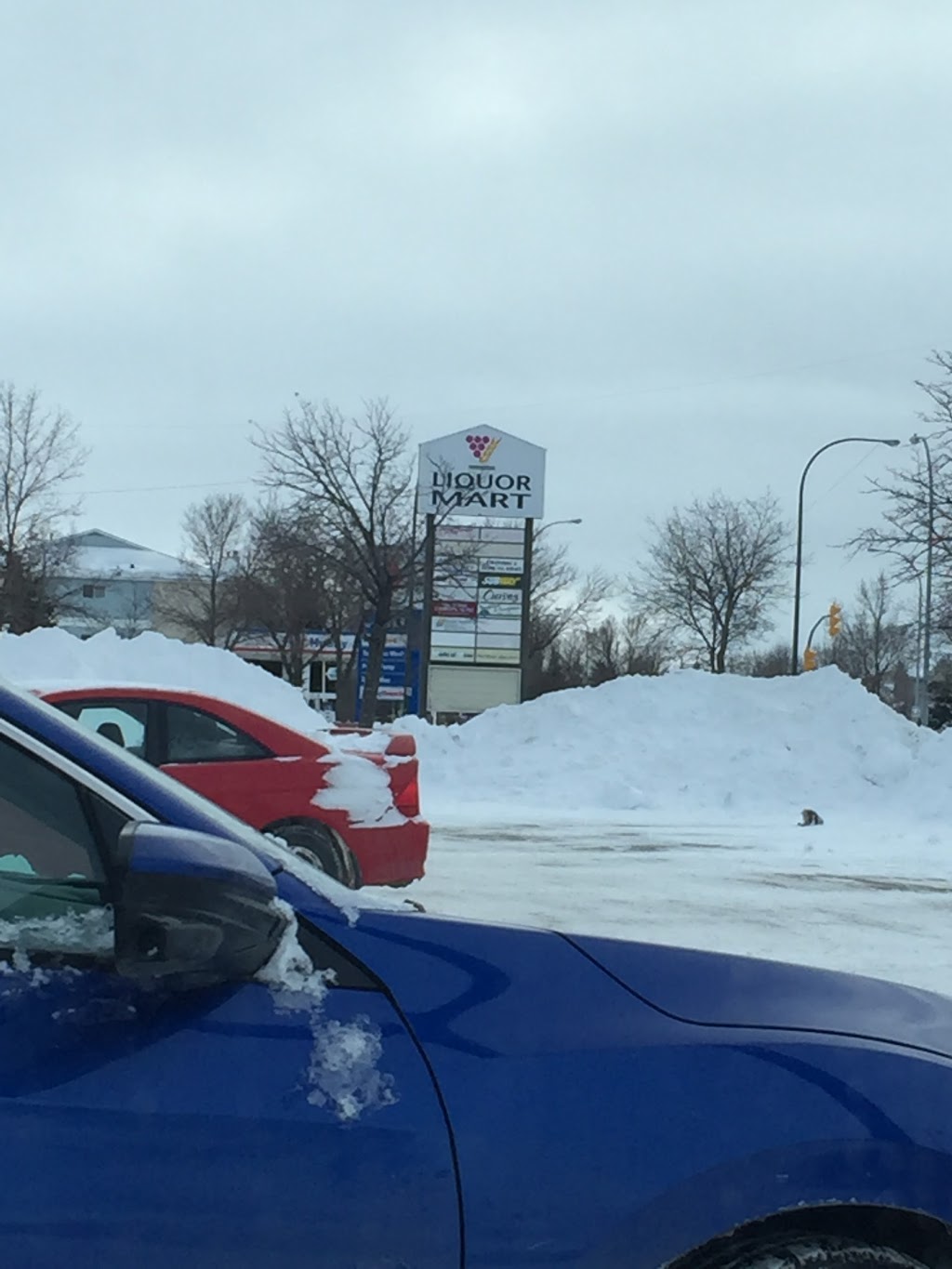 Spring Meadow Square Liquor Mart | 1783 Plessis Rd #21, Winnipeg, MB R3W 1N3, Canada | Phone: (204) 987-4044
