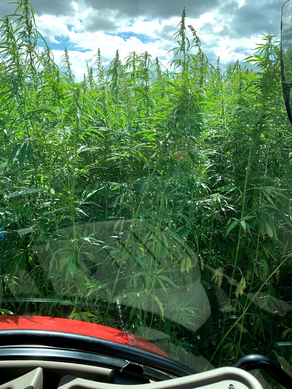 Canadian Rockies Hemp Corporation | 4415 48 St, Bruderheim, AB T0B 0S0, Canada | Phone: (833) 422-4367