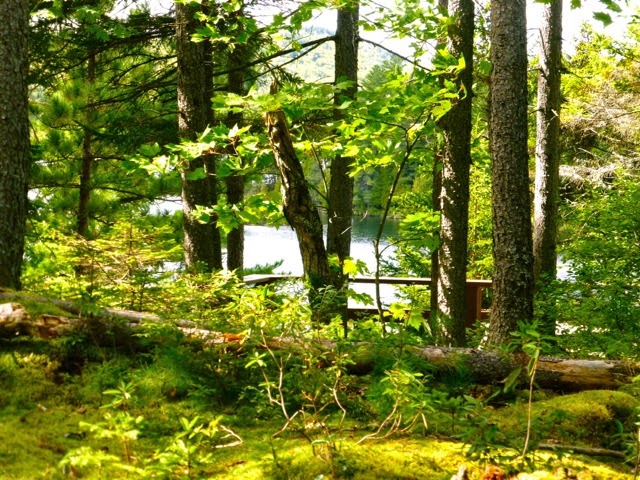 Aire Nature Grandes-Piles - Camping Lac Clair | Chemin du Lac des Îles, Grandes-Piles, QC G0X 2E0, Canada | Phone: (819) 809-2535