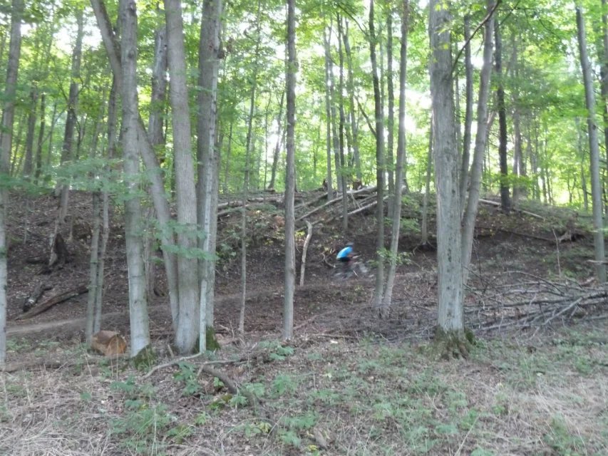 Fourteeen Mile Creek Lands | Oakville, ON L6M 3J7, Canada