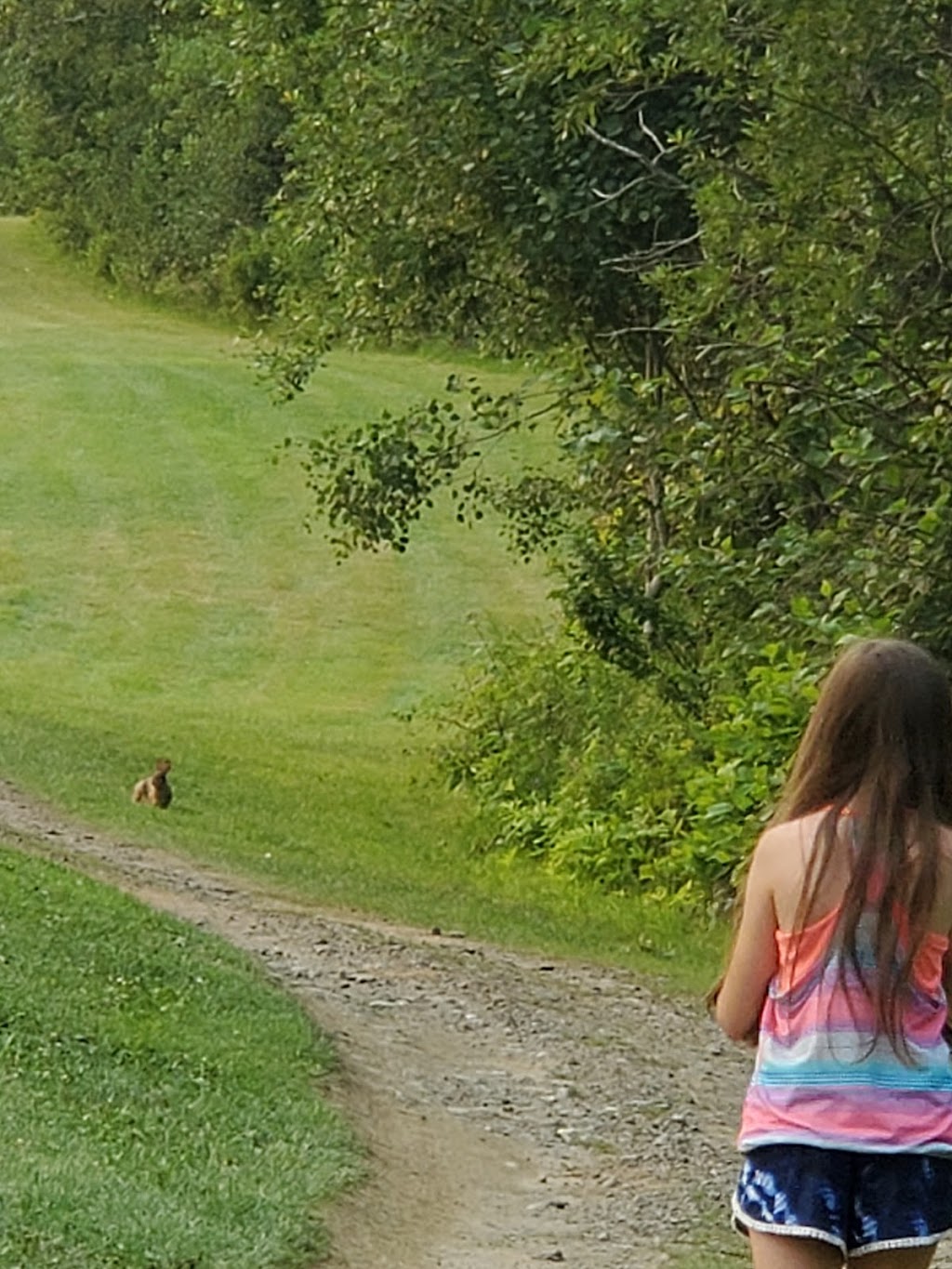 Almaguin Highlands Golf & Country Club (Katrine Golf) | 84 Golf Course Rd, Katrine, ON P0A 1L0, Canada | Phone: (705) 349-8337