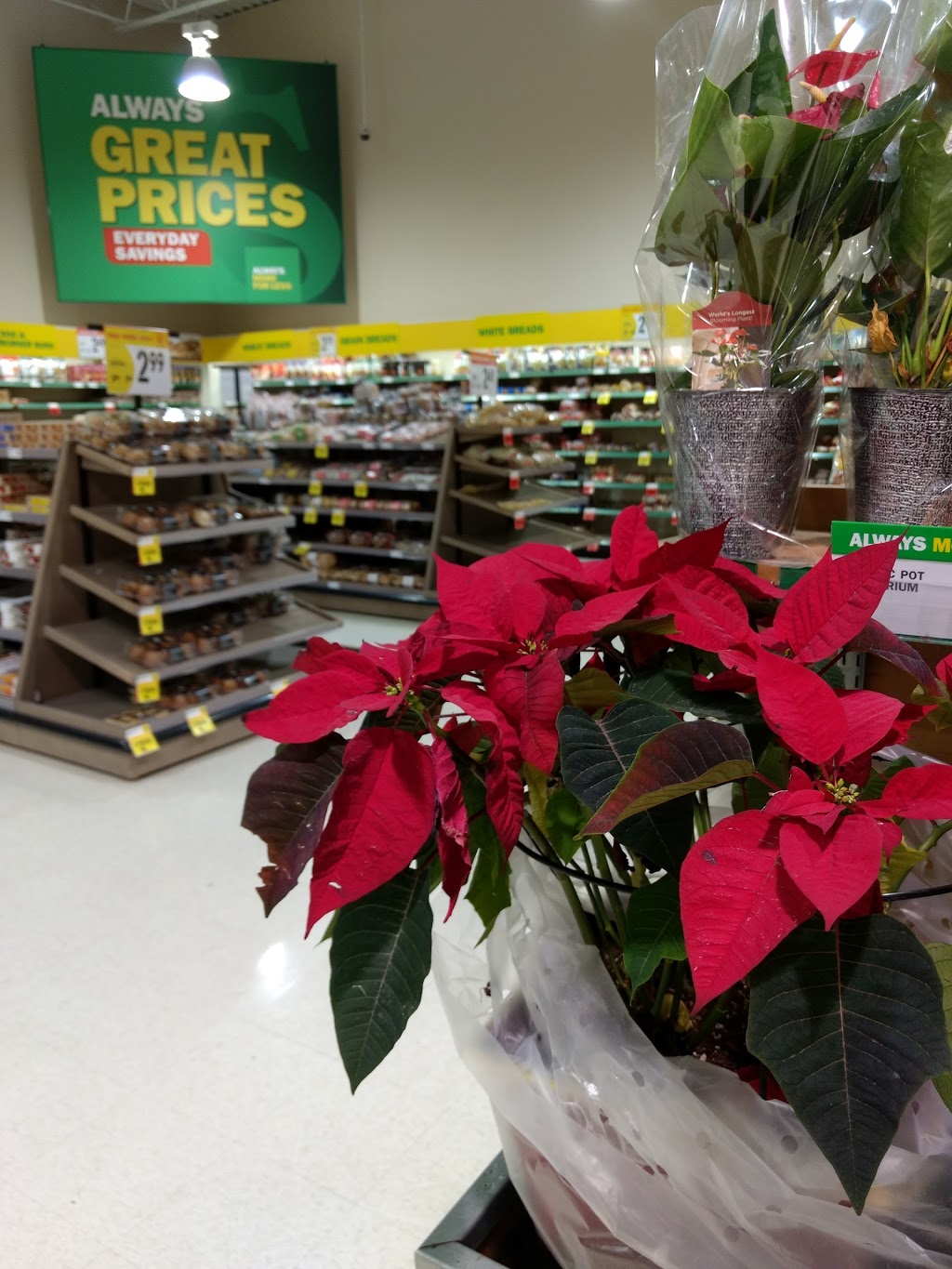 Food Basics | R.R. #5 2615, County Rd 43, Kemptville, ON K0G 1J0, Canada | Phone: (613) 258-1266