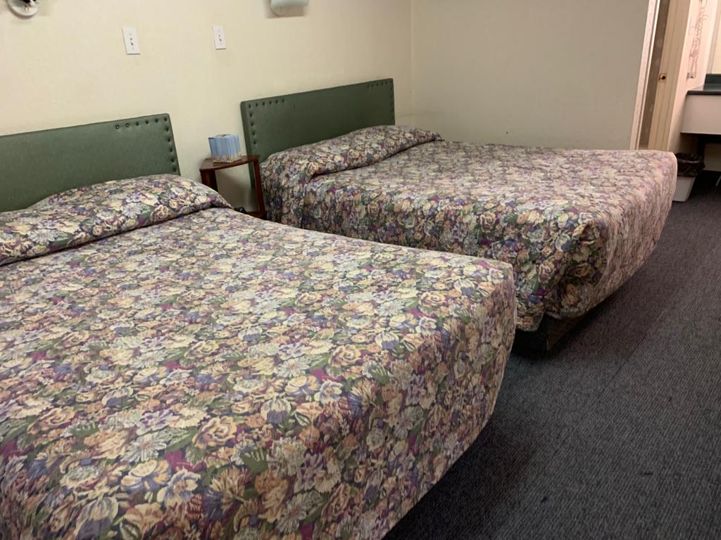 Grey Goose Motel | 4316 48 Ave, Castor, AB T0C 0X0, Canada | Phone: (403) 882-3444