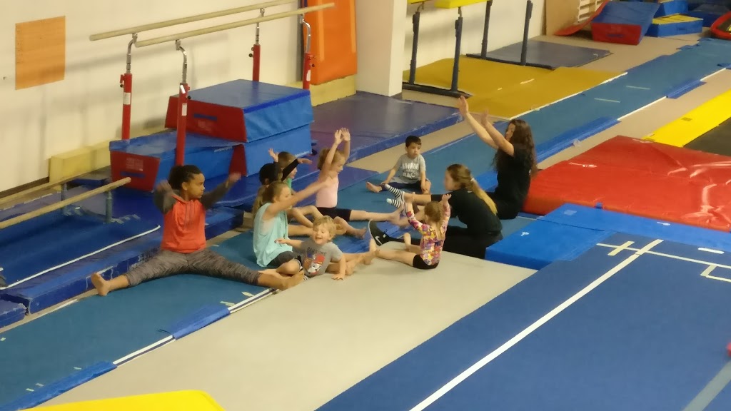 Blenheim-Kent Golden Eagles Gymnastic Club | 245 Marlborough St N, Blenheim, ON N0P 1A0, Canada | Phone: (519) 676-4449