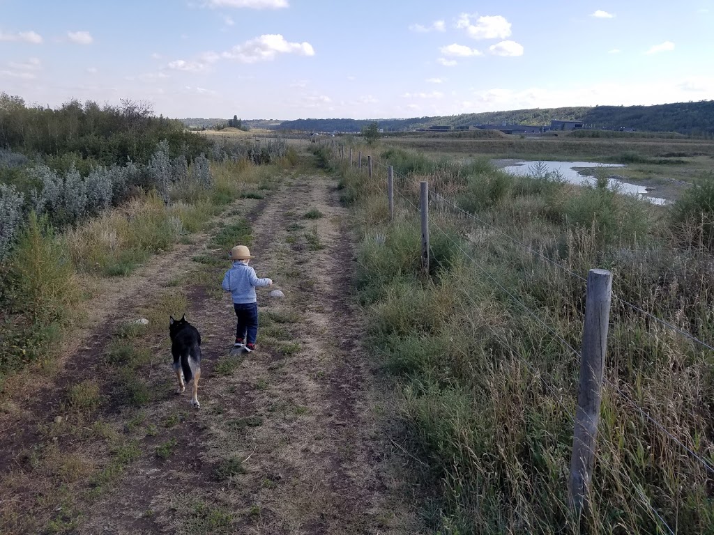 Dog Park | Southeast Calgary, Calgary, AB T0L 0X0, Canada