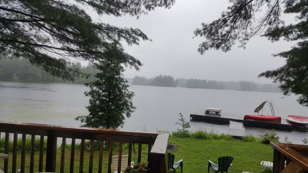 Littles Marina | Gilchrist Bay Rd, Stoney Lake, ON K0L, Canada | Phone: (705) 877-2168